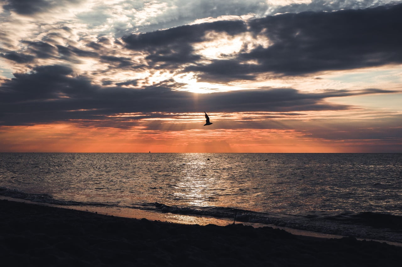 Prawnicze podcasty Patryk Zbroja